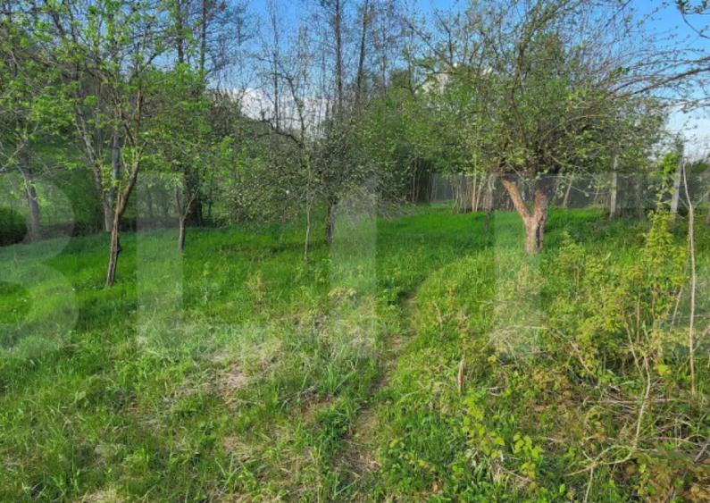 Teren 6650 mp, cu casa nefinalizata de 111 mp, in Nisipoasa - 7