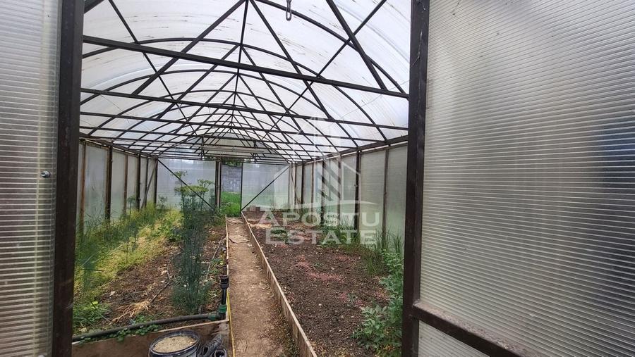 Casa individuala cu teren de 1431mp,zona Centrala Dumbravita - 45