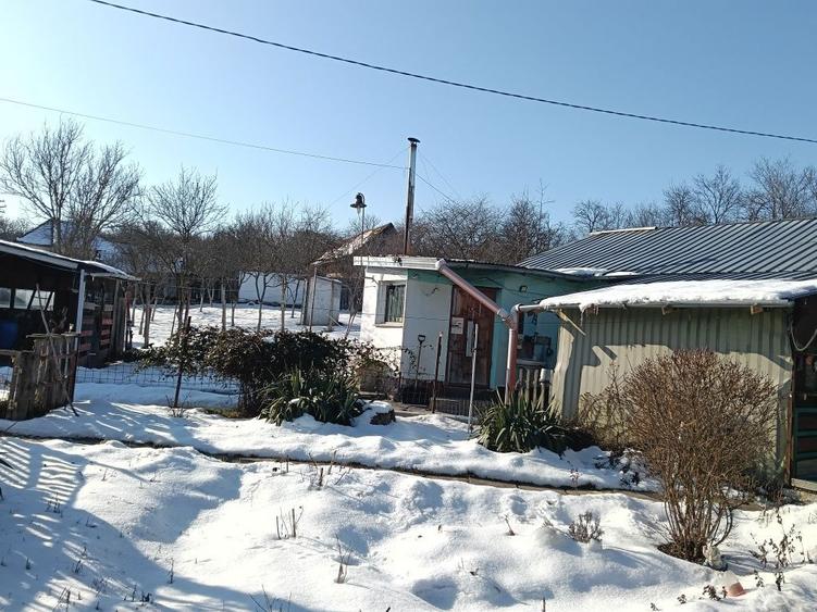 Casa de vanzare in Tichindeal - 5