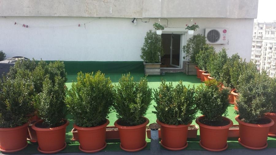 REA1022771 Apartament 6 camere l Rond Alba Iulia - 8