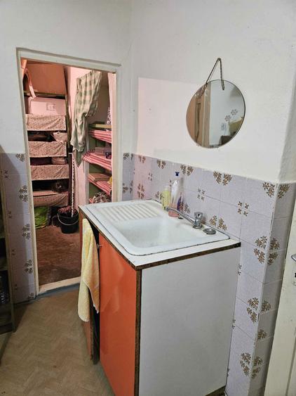 Casa + Anexe si Teren Generos in Sanleani (Livada) Strada Principala - 2