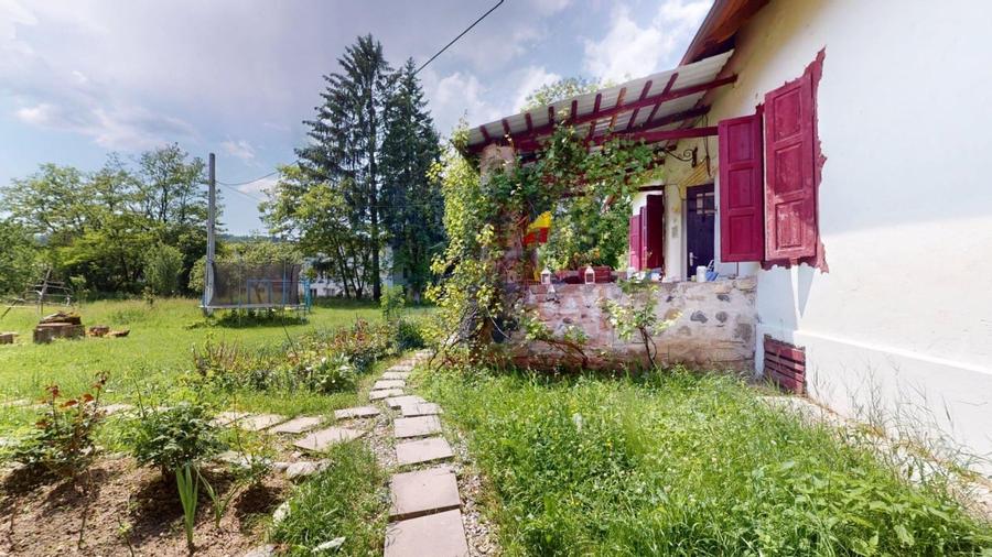 CONACUL GEORGE STEPHANESCU - 13