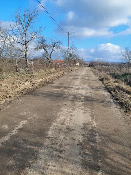 Teren intravilan de vanzare FIRLIUG - 6