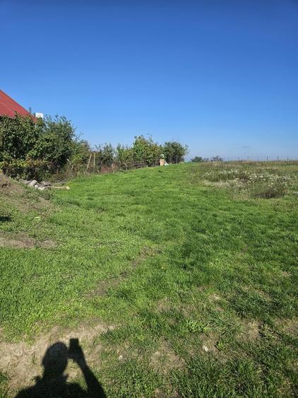 Teren intravilan Dorohoi - 2