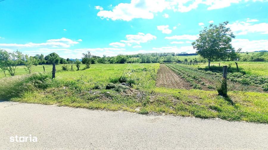 Teren Valea Mare Runcu Gorj Lini?te ?i Natura - 5