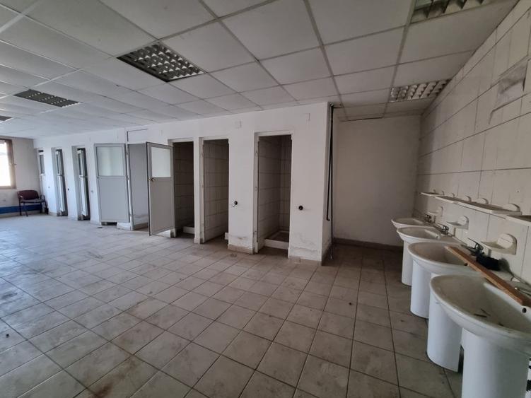 Hala 600 MP- Teren 15000-Otopeni-Centura Bucuresti - 6