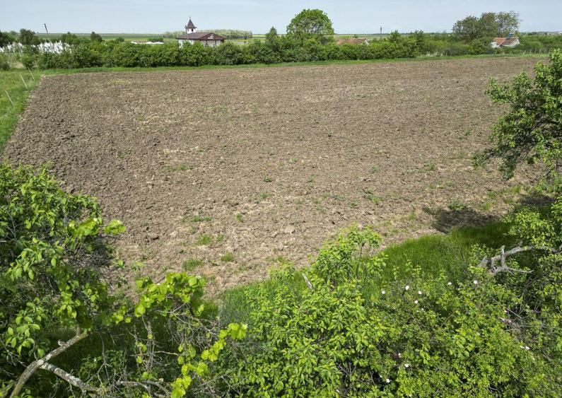 Teren Intravilan de 3,090 mp in Cuvin - 21