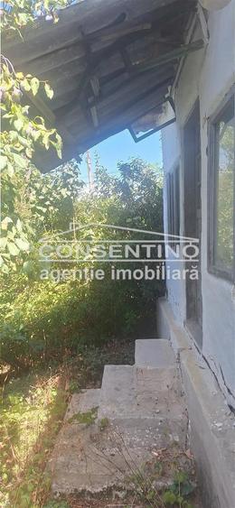 Casă cu Teren 3167 Mp în Măgura