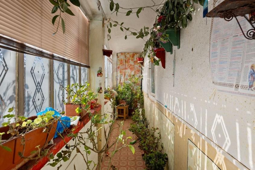 Gospodarie autentică bănățeană, cu teren generos și livadă – Frumușeni - 12