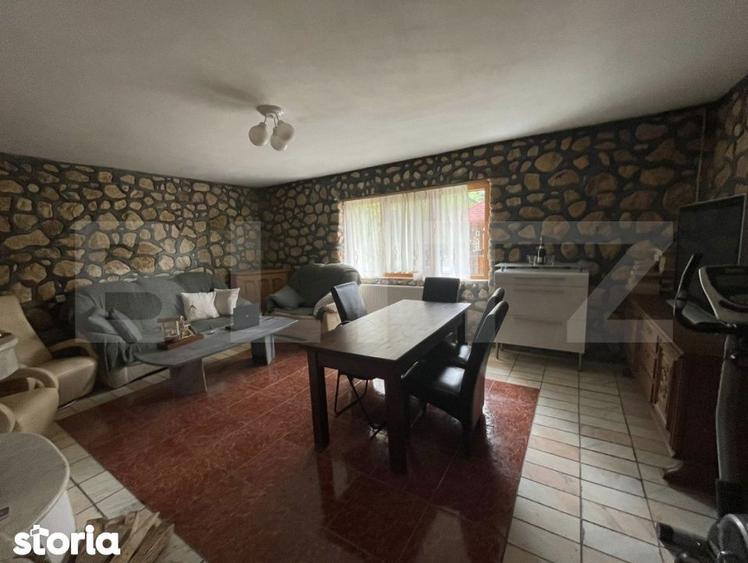 Pensiune deosebita in inima Muntilor Dacici investitie premium in - 9