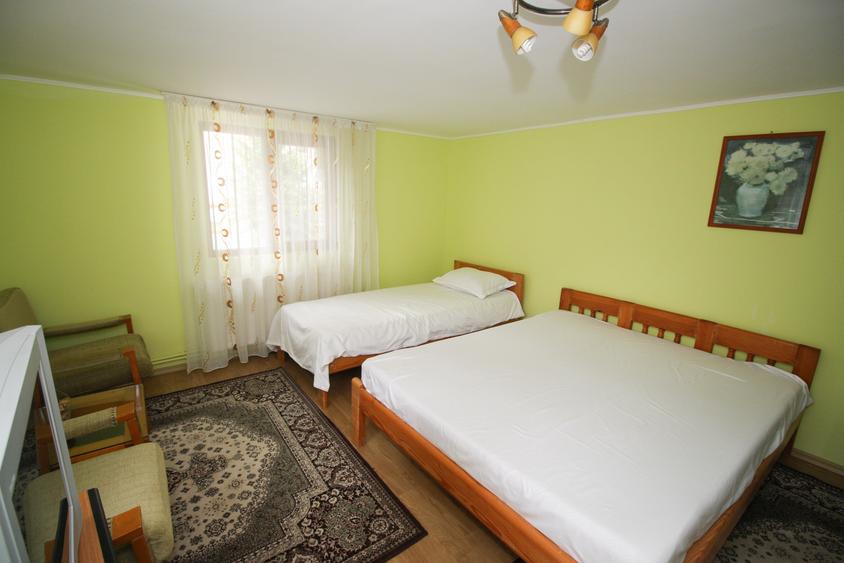 Vila Sinaia 8 camere | garaj | acces usor - 8