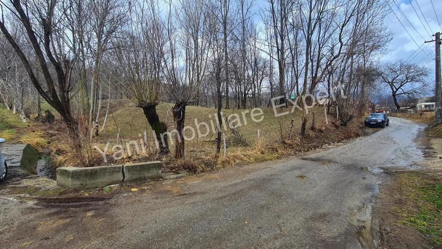 Teren de vanzare in comuna Arefu, jude? Arge?. - 10