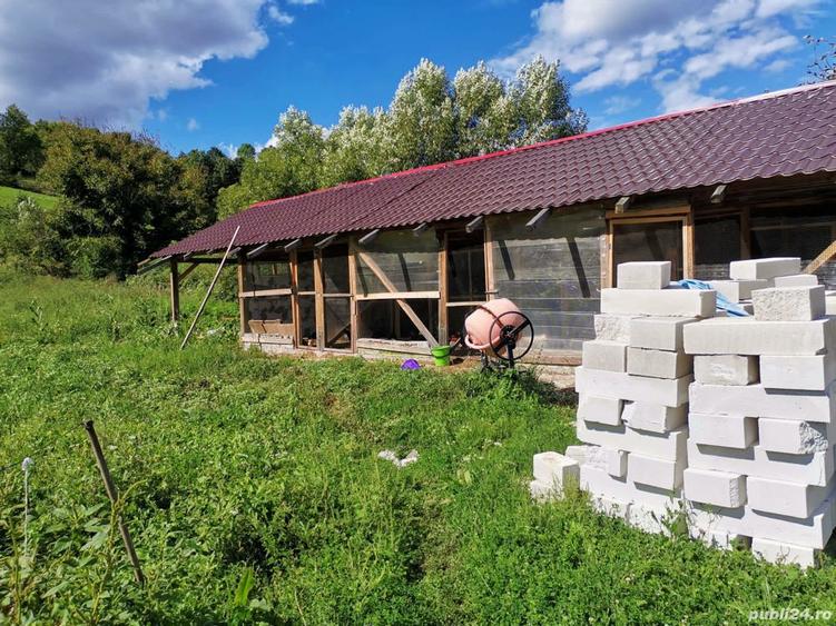 Proprietar Vand casa - 1