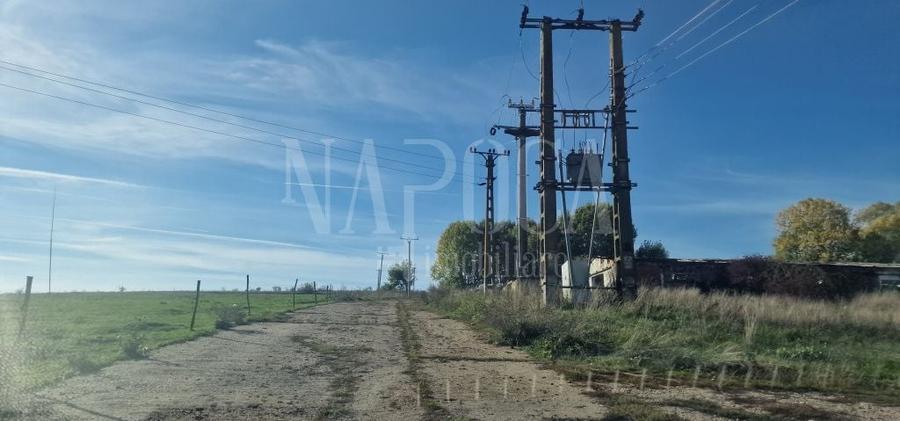 Teren agricol extravilan de 493170 mp, în Iris