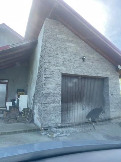 Casă individuală cu 3 camere cu Teren 8500 Mp în Pomi