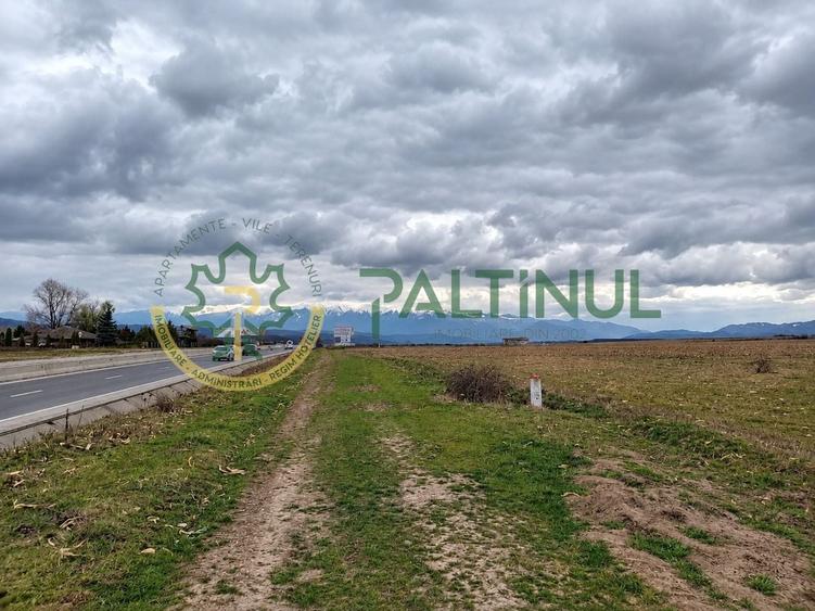 Teren agricol extravilan de 4000 mp, în Șelimbăr