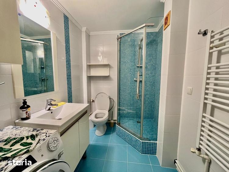 Apartament de inchiriat, o camera, Open space, 42 mp, Nicolina - 17