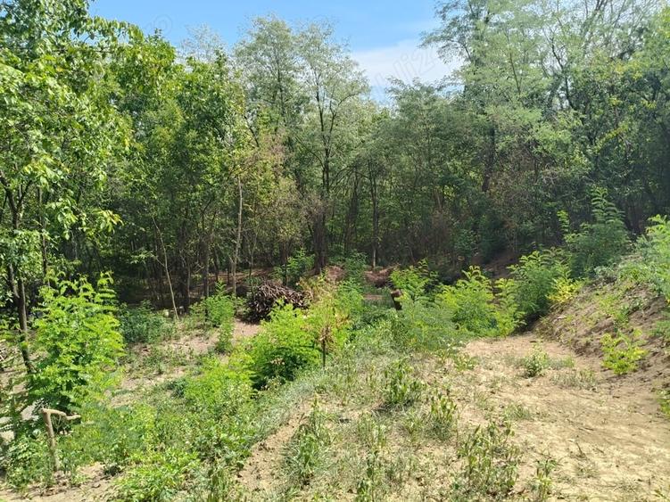 Teren de 2440 mp, în Podenii Vechi