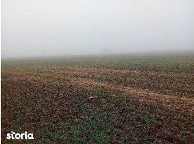 Teren Slobozia, extravilan, Arges, ID: R2980193 - 4
