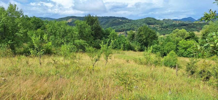 Teren pentru Casa de Vacanta - 6