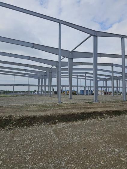 Hala de vanzare Balotesti - 2