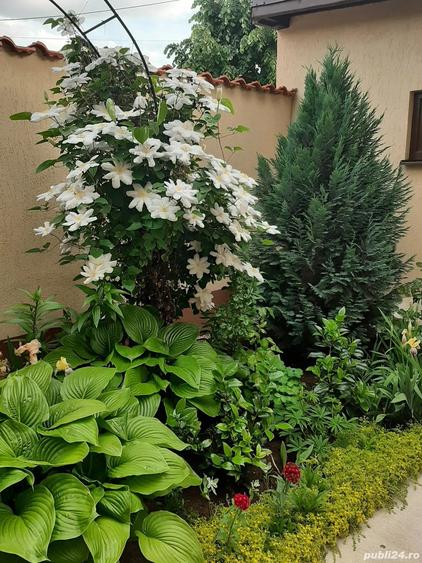 Vanzare casa Chiajna Ilfov - 2