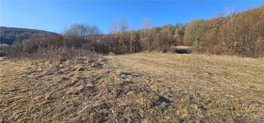 TEREN EXTRAVILAN 6119 MP TAUTI - 2