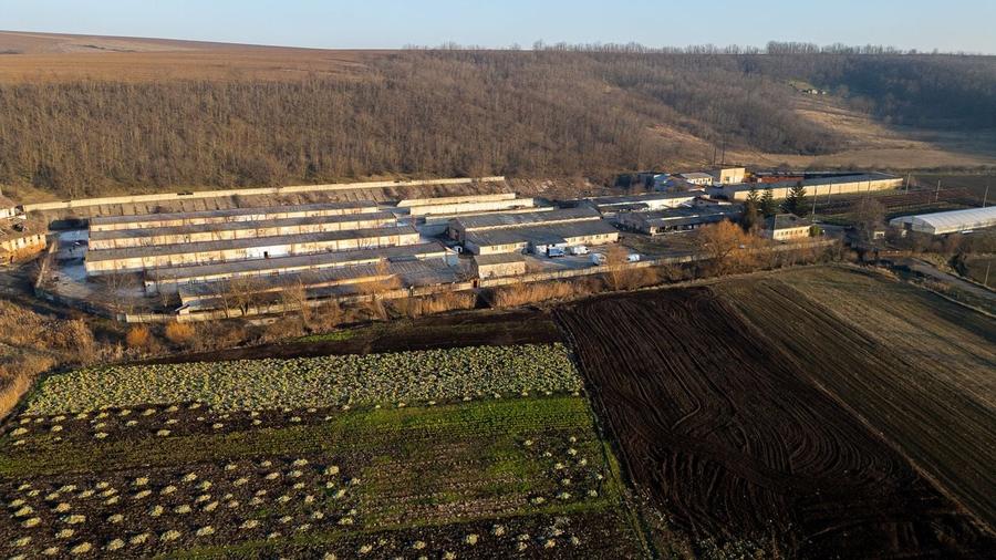 Fosta Ferma a Partidului de la Horgesti - de vanzare - 21