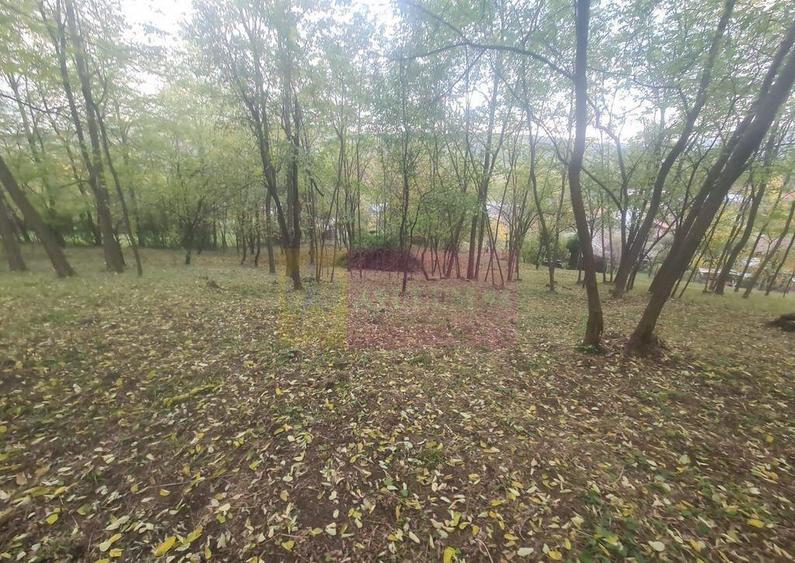 Casa batraneasca cu teren (4.910 mp) la Alunis - 6