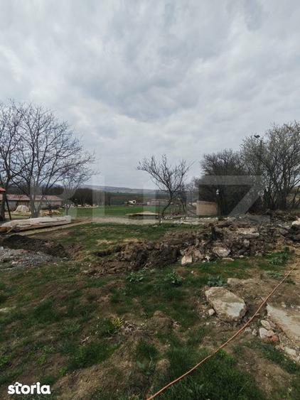 Teren intravilan 3000 mp, in Sandulesti - 1
