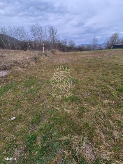 Teren 887 mp cu utilitati - Zona Dealul Jelnei - 3