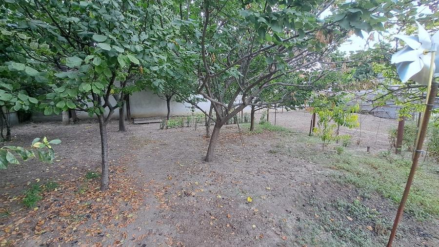 Stadion - scoala sportiva - teren 828 mp / 13.2 deschidere stradala - 8