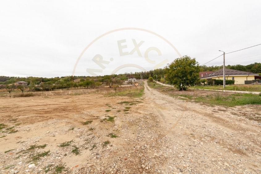 0% Comision!! TEREN INTRAVILAN - ARGESELU !! - 7