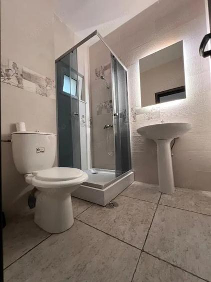 Casa spa?ioasa, ideal sediu de firma, Zona Parcul Circului. - 8