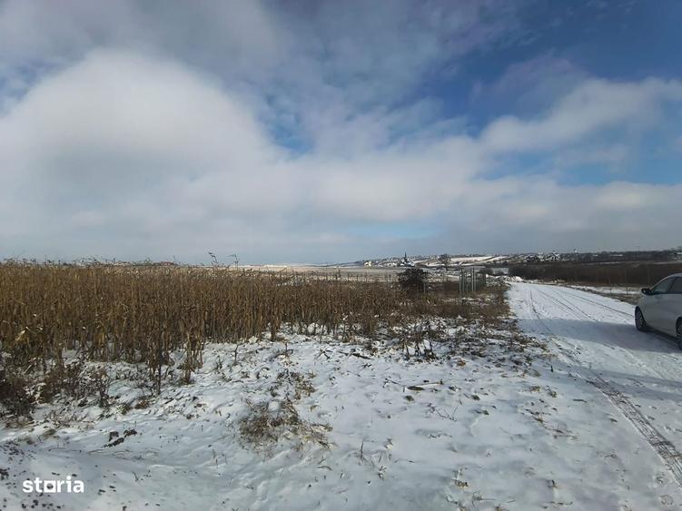 Teren de vanzare Scheia | Sfantu Ilie | 3.361 mp - 3