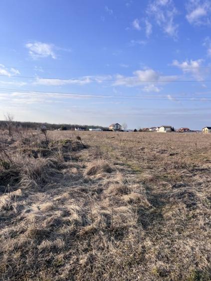 Teren intravilan vanzare- Utilitati-Zona Rezidentiala-Asfalt - 4