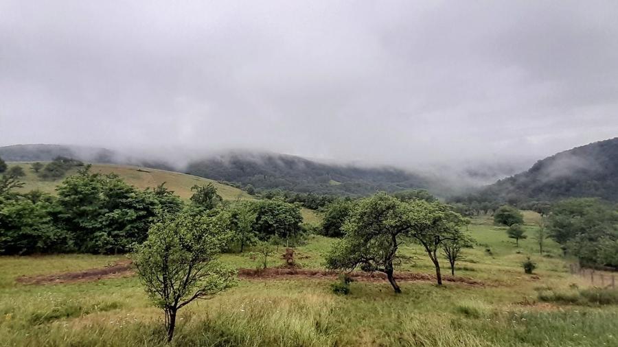 Teren intravilan frumos, Cozia - 3