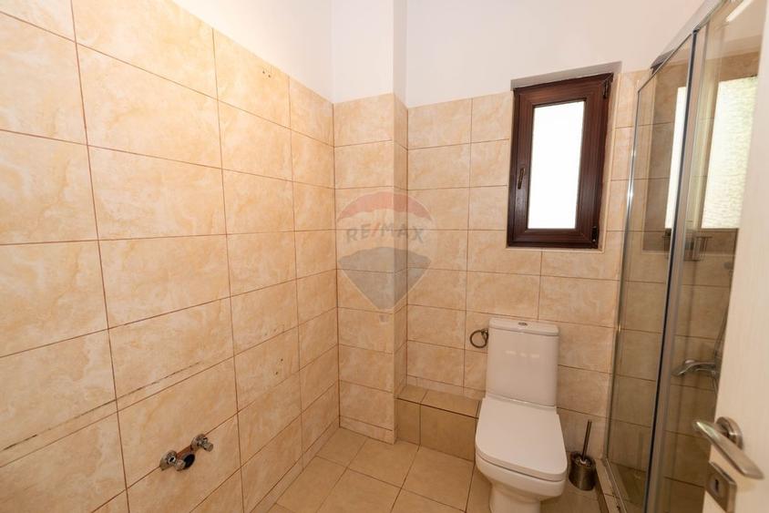 Vila deosebita P+1+M de vanzare Pantelimon - Padurea Cernica - 12