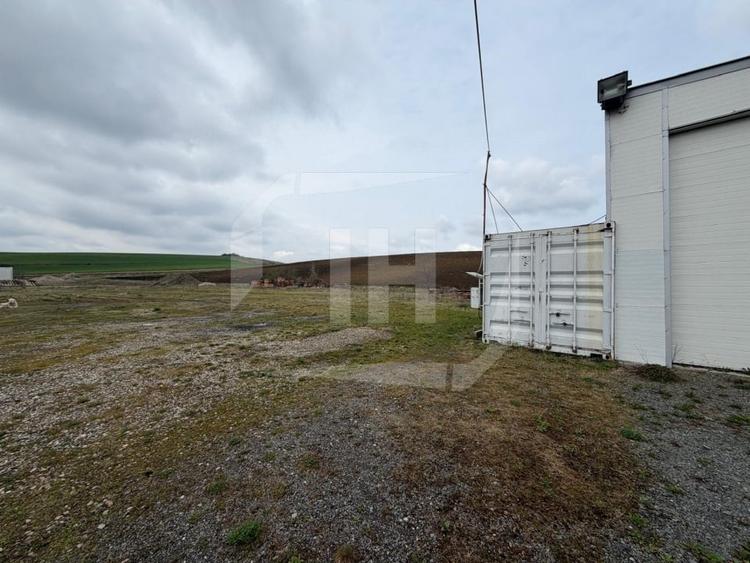 Teren 8000 mp si hala de 100 mp, in Apahida - 3