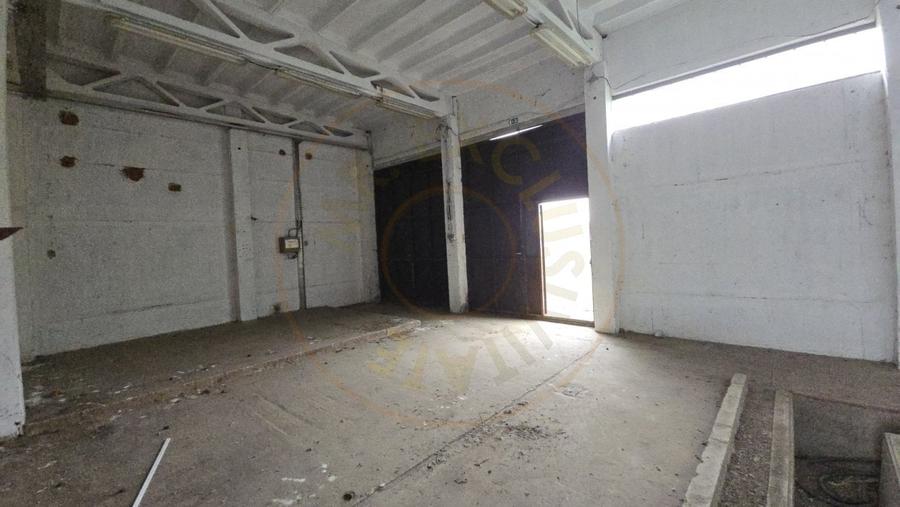 De Vanzare Hala/Depozit - 8