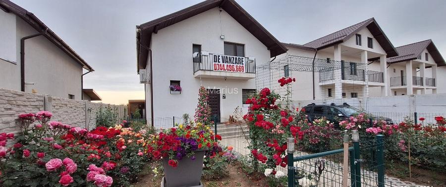 Casa P+M Magurele, Varteju Casa P+M Magurele, Varteju