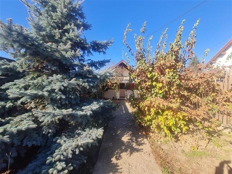 Doua casute tip A Frame, totul pe un teren de 300 mp, Ghimbav, Brasov - 10