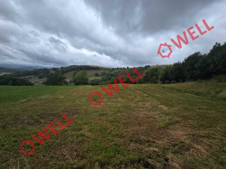 De vânzare teren extravilan loc. Sărămaș! - 6