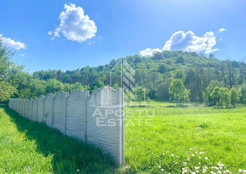 Teren intravilan, partial imprejmuit, eligibil grant- Poj... - 6