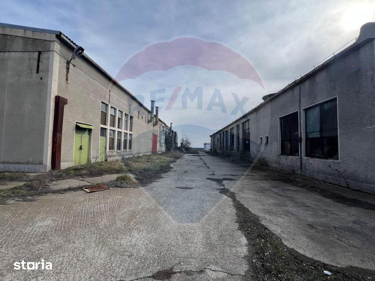 Spa?iu industrial vinificatie Dobrinesti - 14