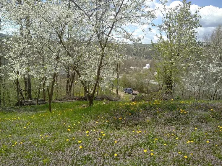 Casa de vanzare - teren 2357 mp in comuna Pietrari - 10