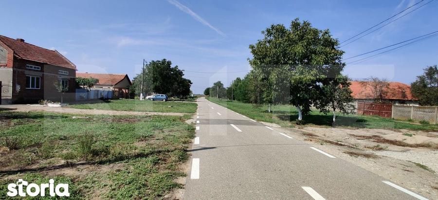 Teren intravilan 2.707 mp, Belint - 5