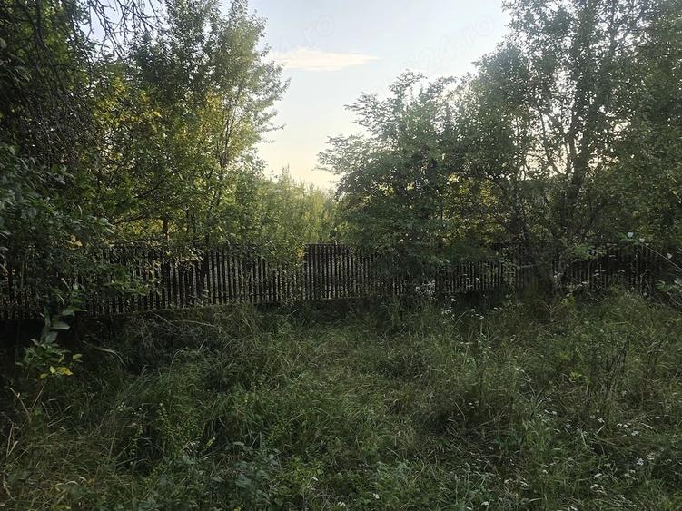 Vand teren intravilan in satul Vacarea, comuna Mihae?ti, in suprafa?a de 2.600 mp. - 7