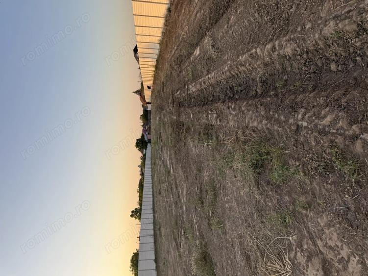 Vand casa batraneasca cu teren intravilan 4600mp - 5