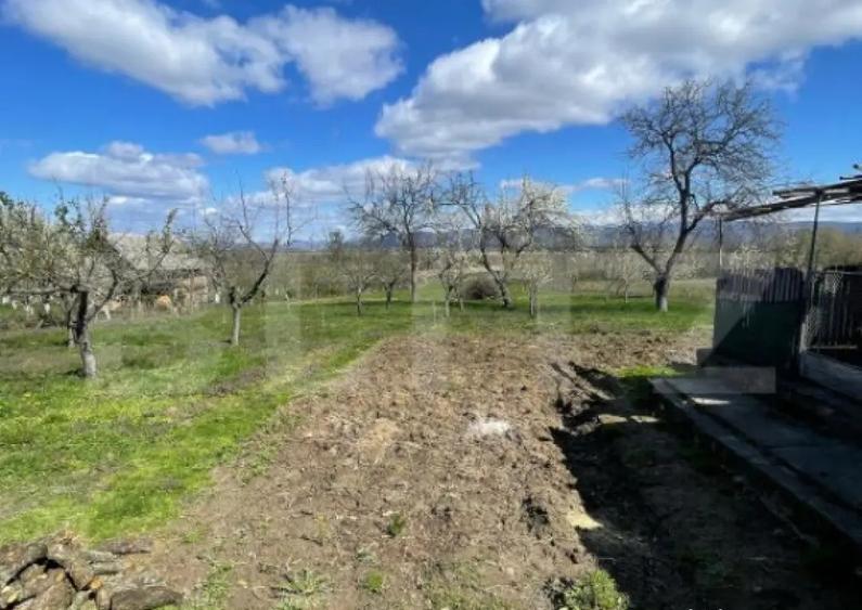 Casa cu 3 camere, 90 mp, 2 anexe gospodaresti si teren de 30 - 8